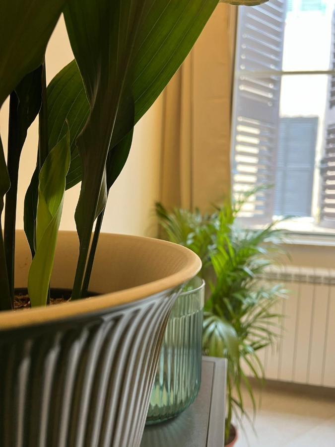 Al Vicolo Holiday home Terracina